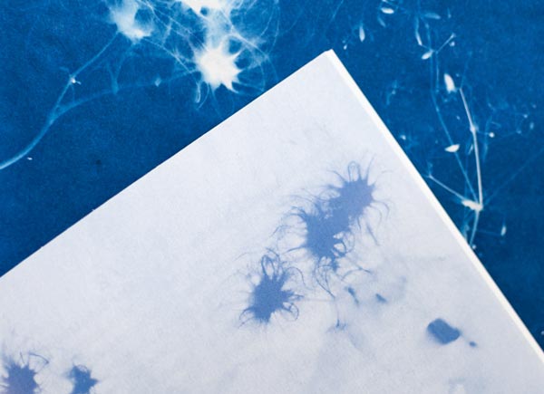 the graphic society - design and illustration - project image